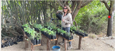 1,000 Medicinal Tree Seedlings Support Conservation and Traditional Knowledge in Mukuru Village
