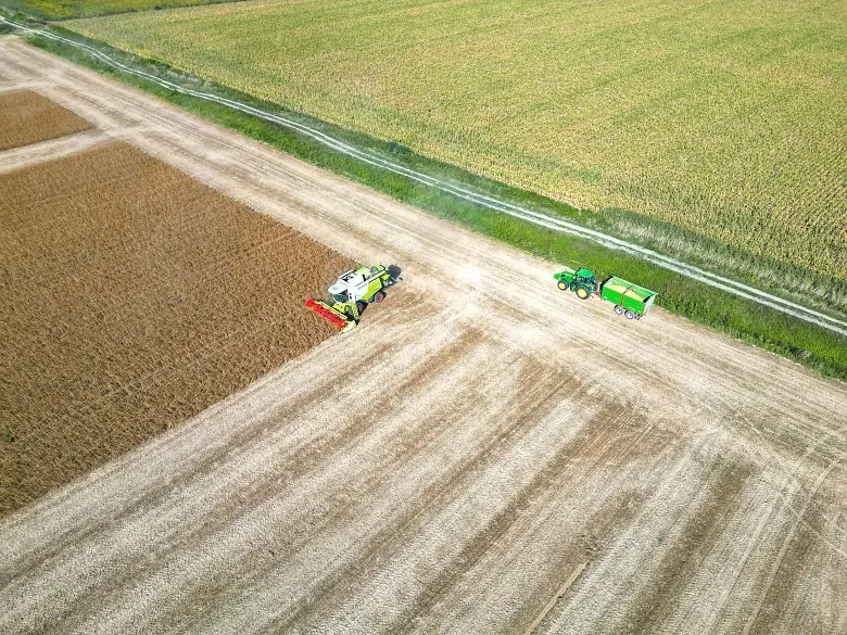 Modern Farming for Food Security in Public Primary Schools